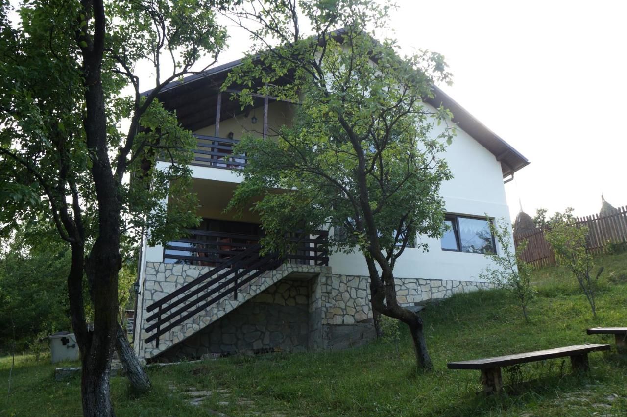 Гостевой дом Casa Paltinu Lunca Mare-15