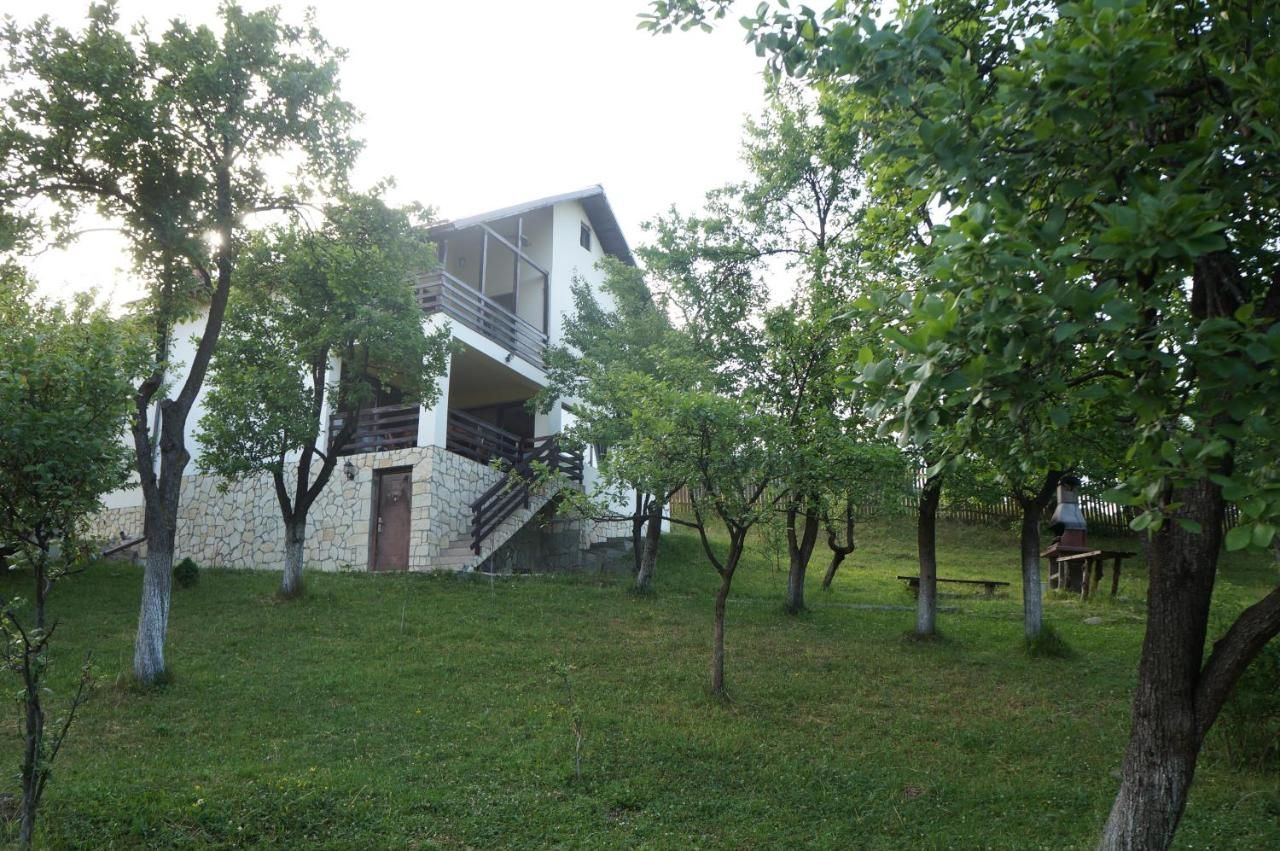 Гостевой дом Casa Paltinu Lunca Mare-16