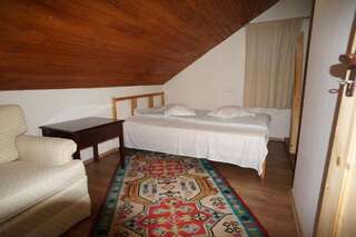 Гостевой дом Casa Paltinu Lunca Mare Небольшой двухместный номер с 1 кроватью-7