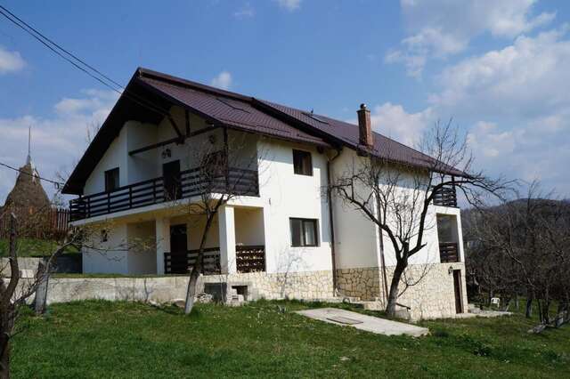 Гостевой дом Casa Paltinu Lunca Mare-13